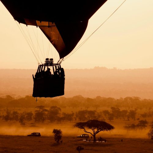 9 days safari – See the Wildebeest Migration and the famous Mara River crossing