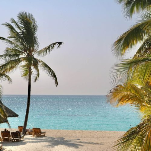 15 Days trip Tanzania + Zanzibar